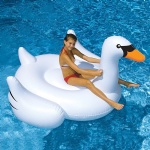inflatable swan