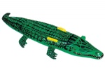 inflatable Crocodile float